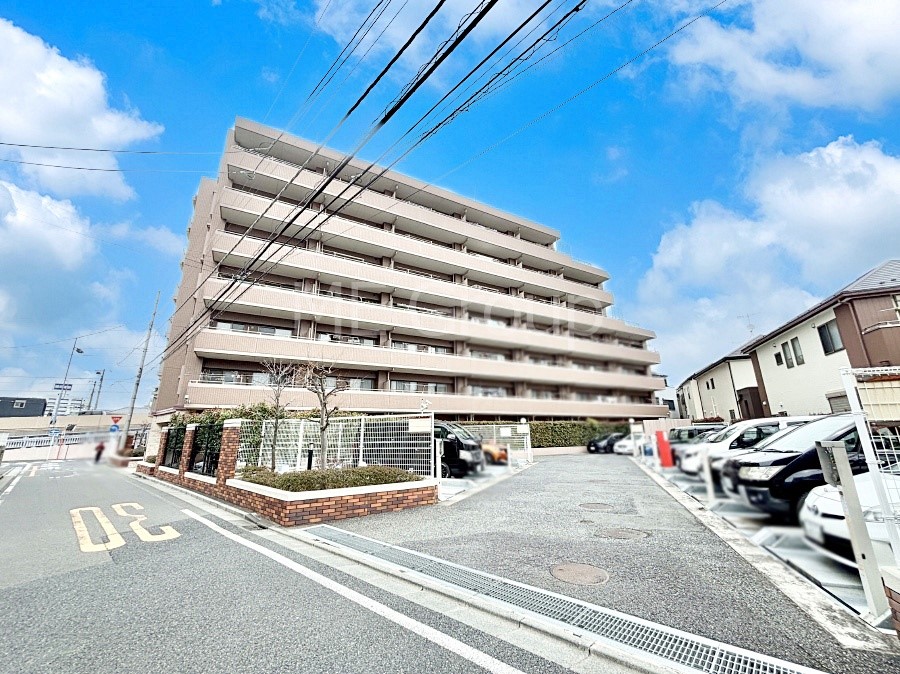 ���n�O�ώʐ^ ��Ƃ肪�Ί�𐶂ސS�n�悢���� 