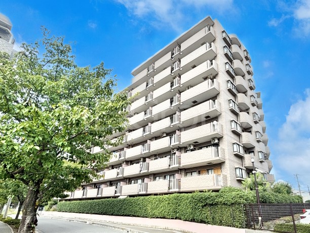 ���n�O�ώʐ^ ��Ƃ肪�Ί�𐶂ސS�n�悢���� 