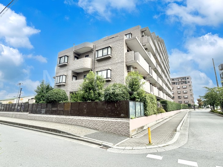 ���n�O�ώʐ^ ��������n�܂�V�����������������܂��I