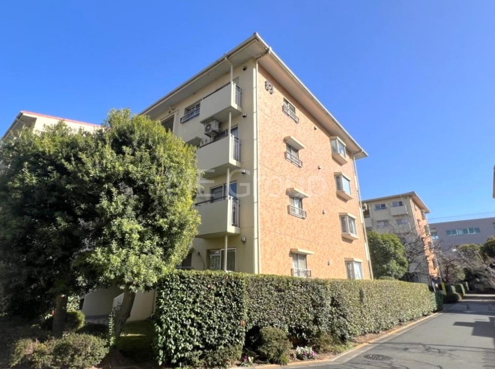 ���n�O�ώʐ^ ��Ƃ肪�Ί�𐶂ސS�n�悢���� 