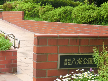 ���ӊ� ���� 300m ��������