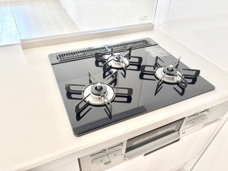 ���̑����� �K�X�R�����͂r���Z���T�[���ځB�Η͒��߂�ł��t���E�����Y����h���ł���܂��B