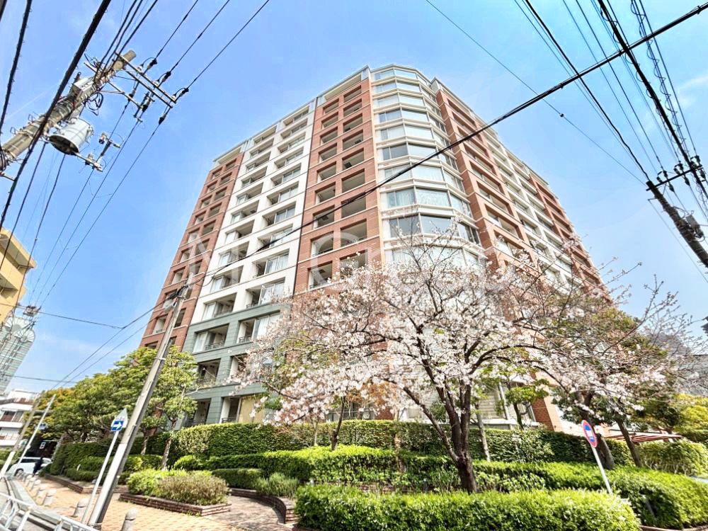 ���n�O�ώʐ^ ��Ƃ肪�Ί�𐶂ސS�n�悢���� 