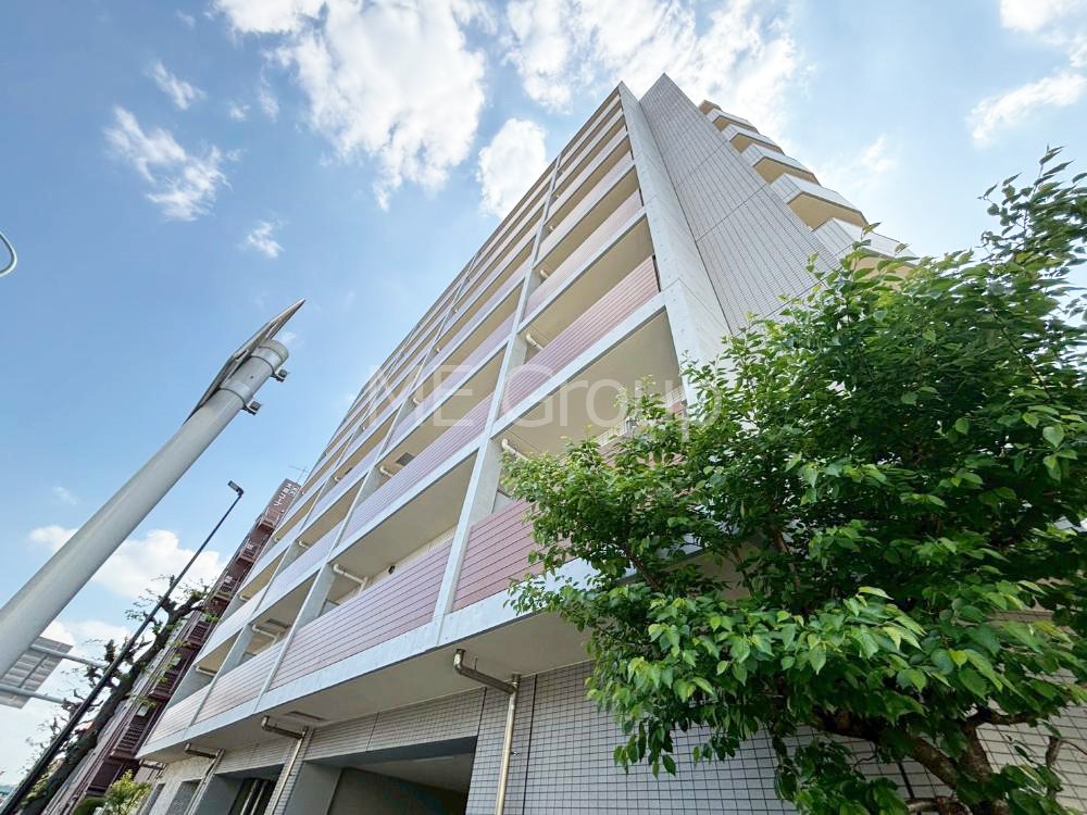 ���n�O�ώʐ^ ����z���ł��Ƒ��̏Ί���P��