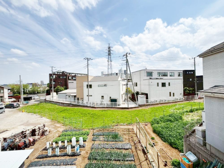 ���̑� �o���R�j�[����̒��]�ł�