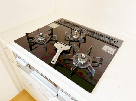 ���̑����� �O���K�X�R�����ł���������C�ɂ͂��ǂ肻��  