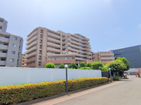 �O��s���A��8���ڂ̒��Ã}���V����