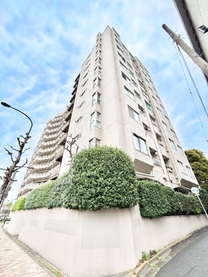 ���n�O�ώʐ^ �����ɕ֗��Ȓn�ɐL�т₩�ȉƑ��̐������i��`���Z�܂�