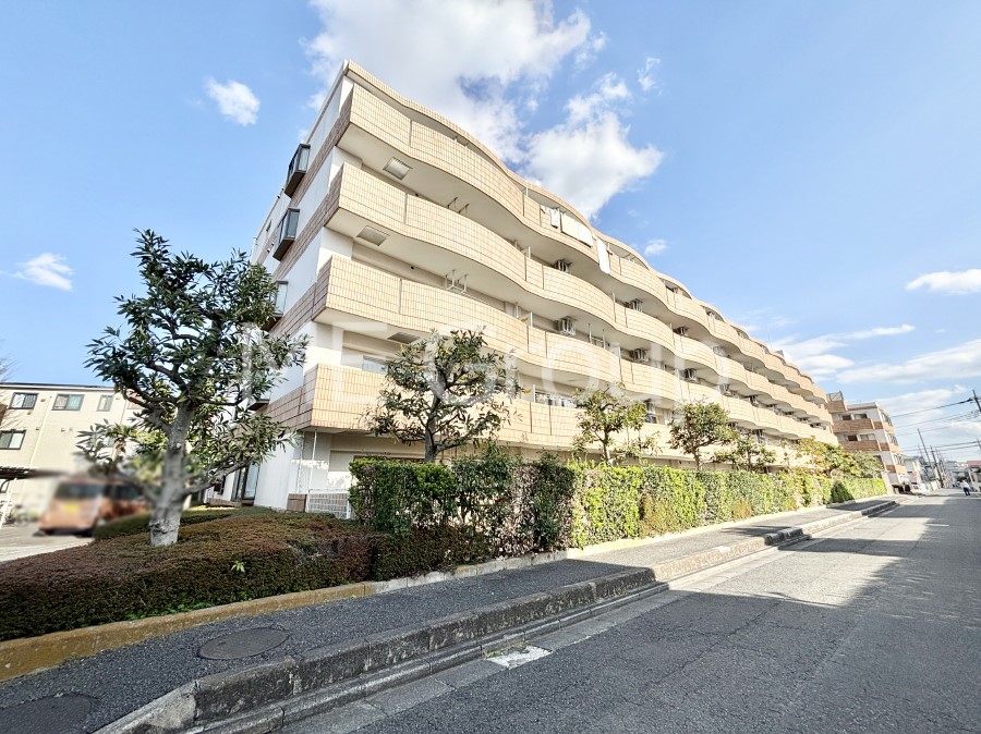 ���n�O�ώʐ^ ����z���ł��Ƒ��̏Ί���P�� 