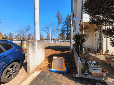 ���n�y�n�ʐ^ -