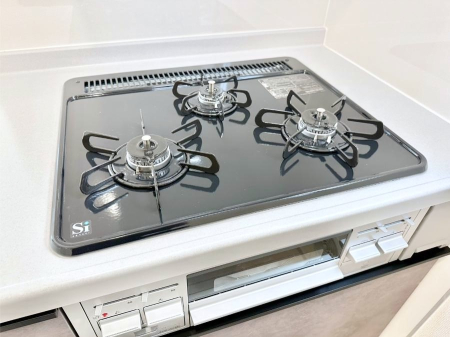 ���̑����� �K�X�R�����͂r���Z���T�[���ځB�Η͒��߂�ł��t���E�����Y����h���ł���܂��B