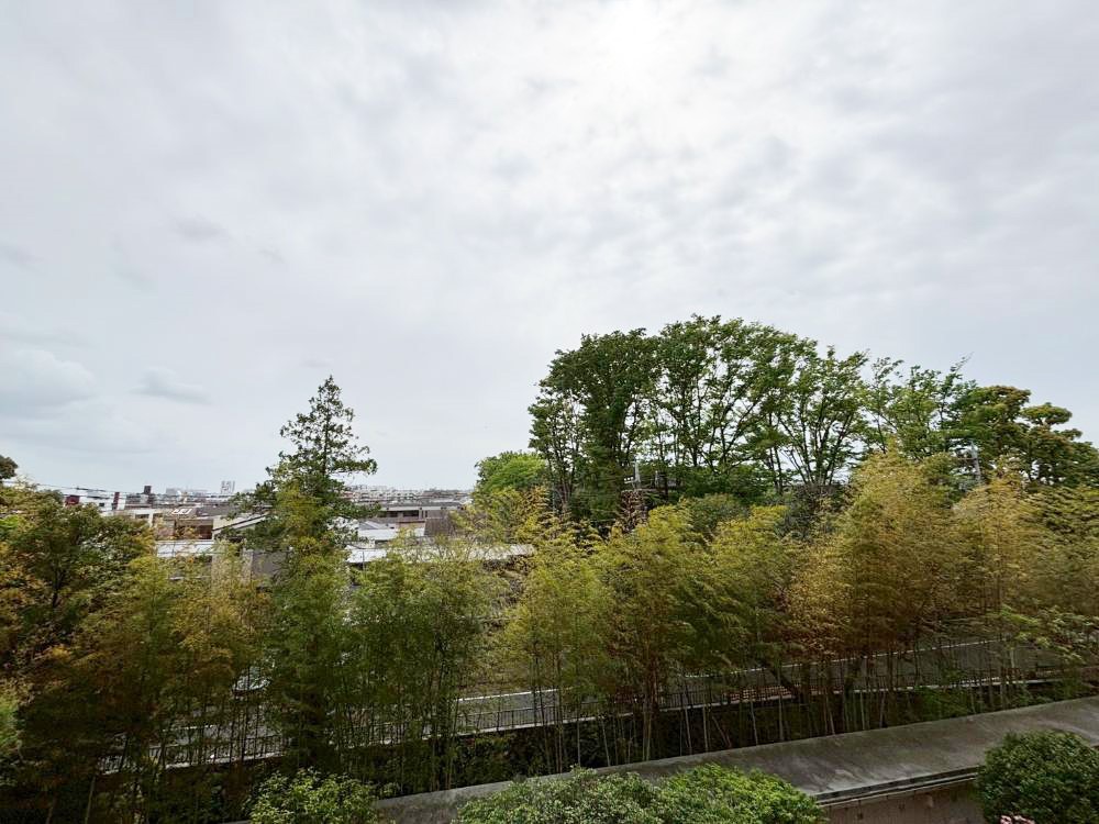 ���̑� �o���R�j�[����̒��]�ł�