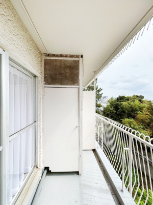 �o���R�j�[ ���ʂ��̗ǂ��o���R�j�[