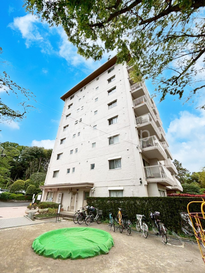 ���n�O�ώʐ^ ����z���ł��Ƒ��̏Ί���P��