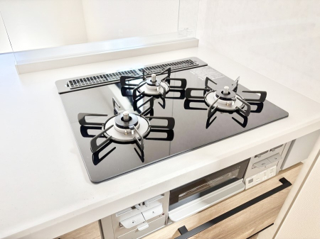 ���̑����� �K�X�R�����͂r���Z���T�[���ځB�Η͒��߂�ł��t���E�����Y����h���ł���܂��B
