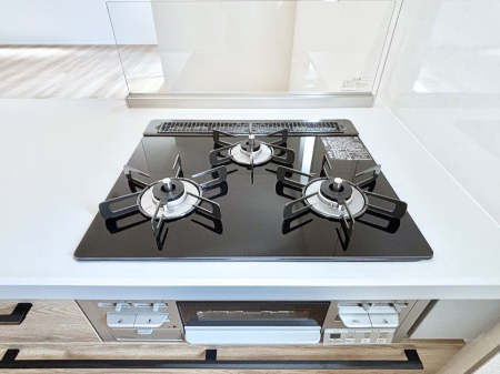 ���̑����� �K�X�R�����͂r���Z���T�[���ځB�Η͒��߂�ł��t���E�����Y����h���ł���܂��B