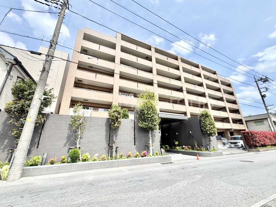 ���n�O�ώʐ^ ��Ƃ肪�Ί�𐶂ސS�n�悢���� 