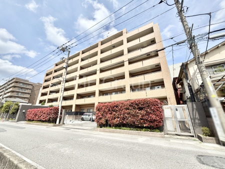 ���n�O�ώʐ^ ����z���ł��Ƒ��̏Ί���P�� 