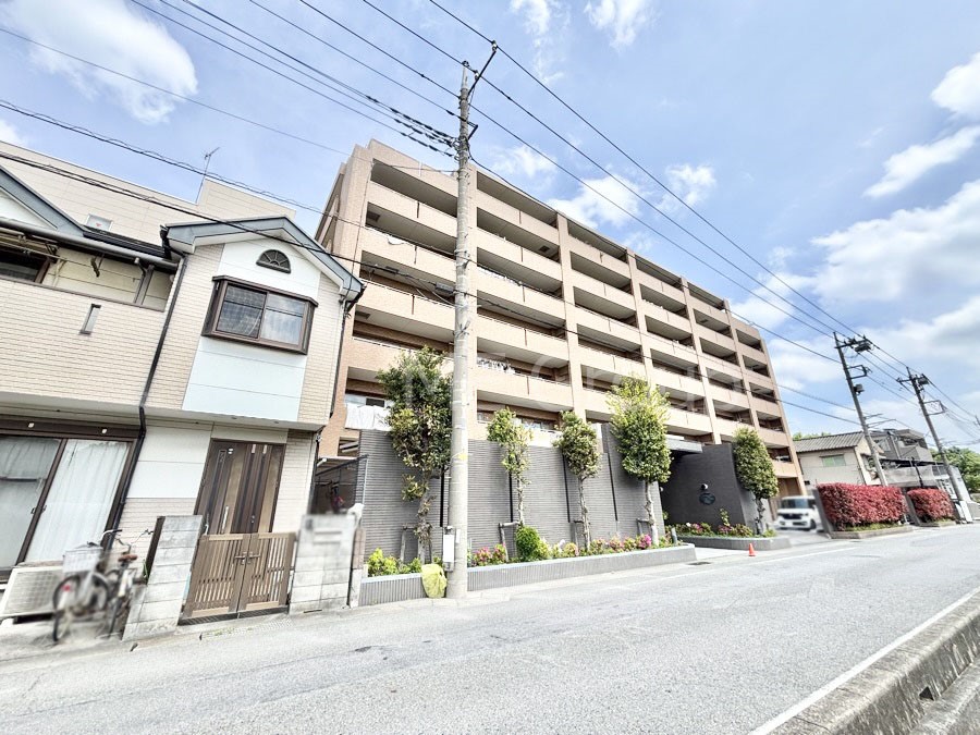 ���n�O�ώʐ^ ��������n�܂�V�����������������܂�