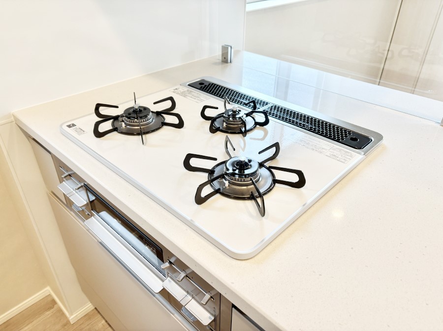 ���̑����� �O���K�X�R�����ł���������C�ɂ͂��ǂ肻��  