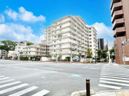 ���n�O�ώʐ^ ��������n�܂�V�����������������܂��@