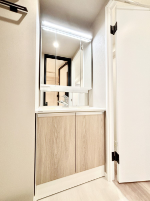 ���ʑ�E���ʏ� ���[�͂Ƌ@�\���ɗD�ꂽ���ʉ��ϑ�  �@