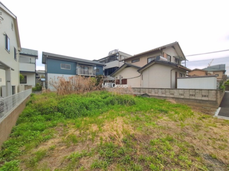 ���n�y�n�ʐ^ -