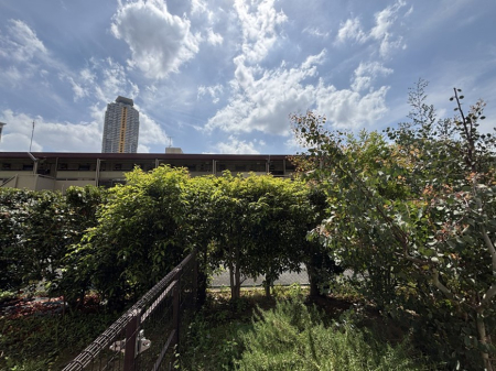 ���̑� �S�n�悢����������ꂻ���Ȓ��]�ł�