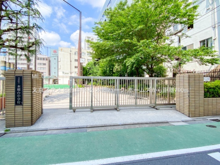 ���ӊ� ���w�Z 290m �����旧�{���䒆�w�Z