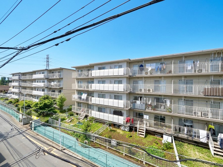 ���̑� �o���R�j�[����̒��]�ł�