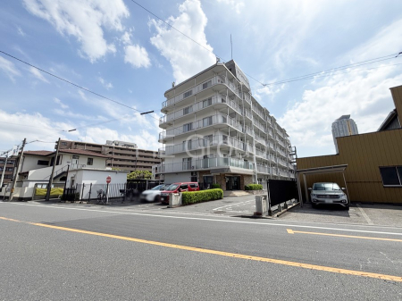 ���n�O�ώʐ^ ����z���ł��Ƒ��̏Ί���P��