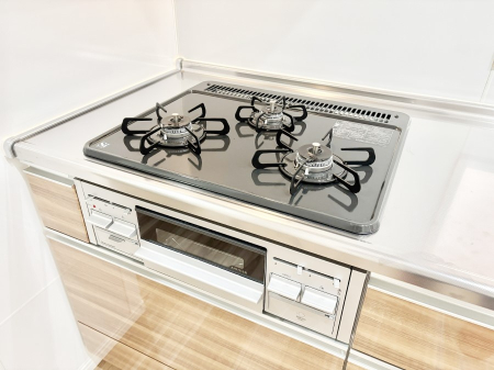 ���̑����� �O���K�X�R�����ł���������C�ɂ͂��ǂ肻��  