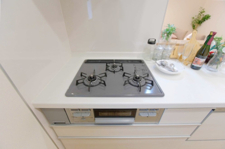���̑����� �K�X�R�����͂r���Z���T�[���ځB�Η͒��߂�ł��t���E�����Y����h���ł���܂��B