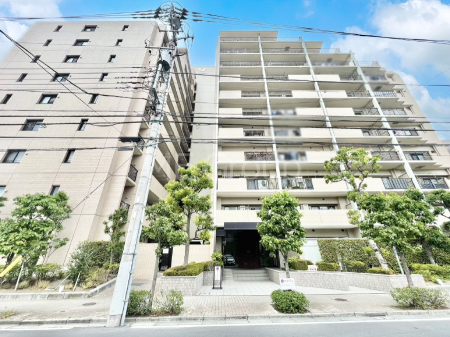 ���n�O�ώʐ^ ����z���ł��Ƒ��̏Ί���P�� 