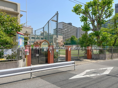 ���ӊ� ���w�Z 450m �����旧����攪���w�Z