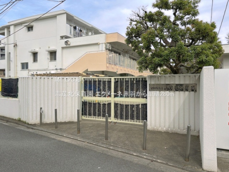 ���ӊ� �c�t���E�ۈ牀 280m �u�Ζk�ۈ牀