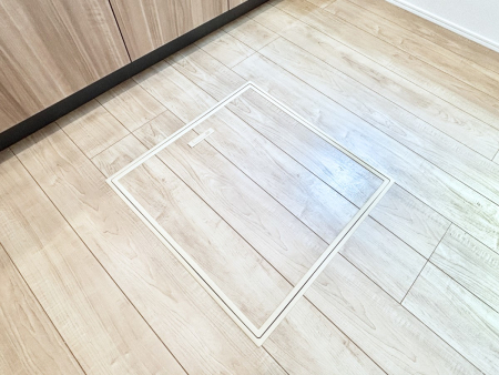 ���̑����� �������[�t���I���p�i�E���p�i�̎��[�ɂ��劈��B
