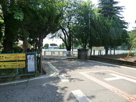 ���ӊ� ���w�Z 800m ����s���������w�Z