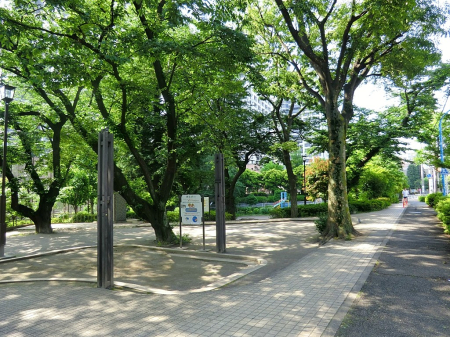���ӊ� ���� 80m ���ˎR����