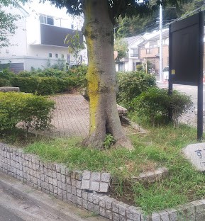 ���ӊ� ���� 17m �������݂ꎙ���V��