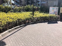 ���ӊ� ���� 300m ���n�旧���|�����Βn
