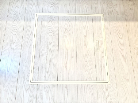 ̑ [tIpiEpi̎[ɂ劈B