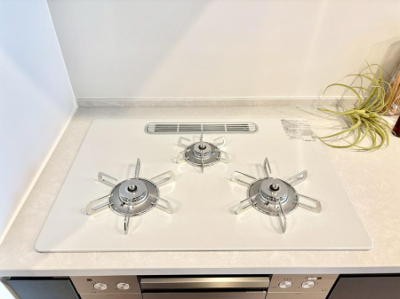 ���̑����� �K�X�R�����͂r���Z���T�[���ځB�Η͒��߂�ł��t���E�����Y����h���ł���܂��B