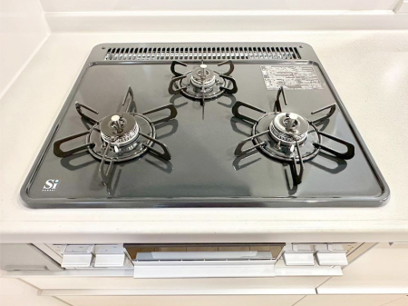 ���̑����� �O���K�X�R�����ł���������C�ɂ͂��ǂ肻���B  