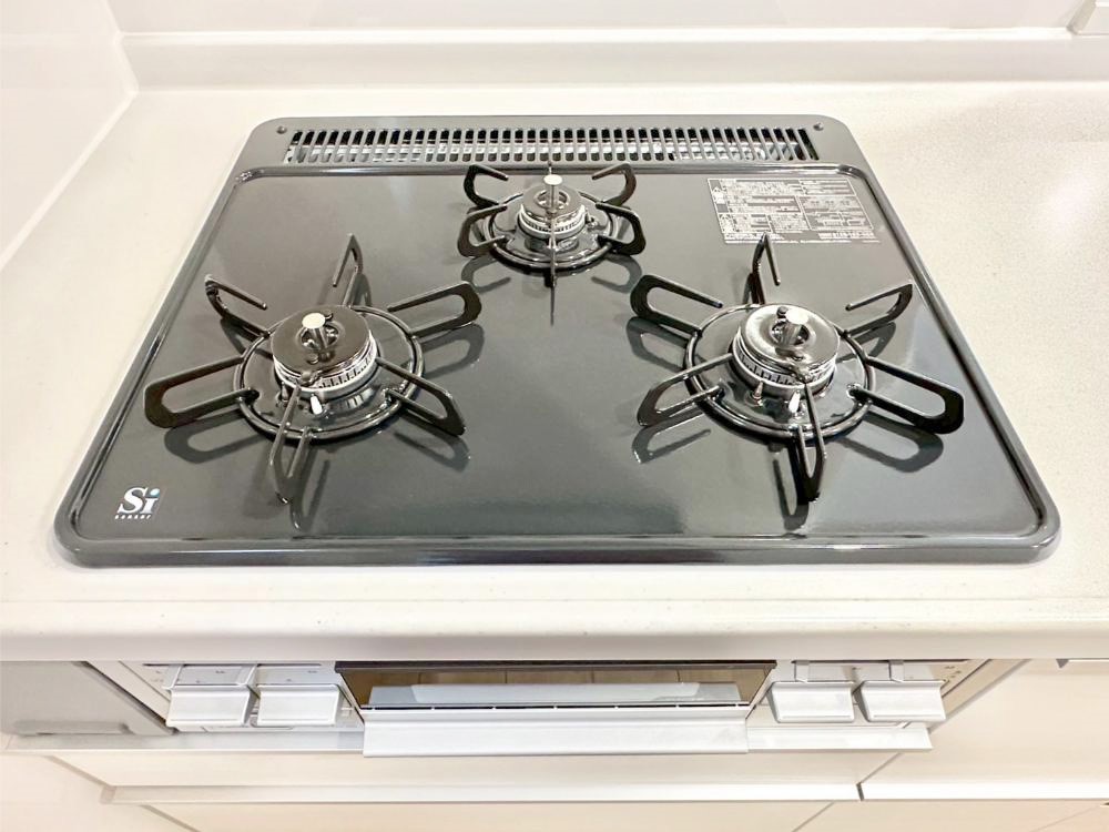 ���̑����� �O���K�X�R�����ł���������C�ɂ͂��ǂ肻���B  