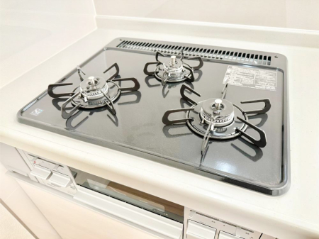 ���̑����� �K�X�R�����͂r���Z���T�[���ځB�Η͒��߂�ł��t���E�����Y����h���ł���܂��B