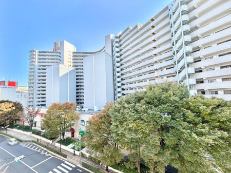 ���̑� �o���R�j�[����̒��]�ł�  