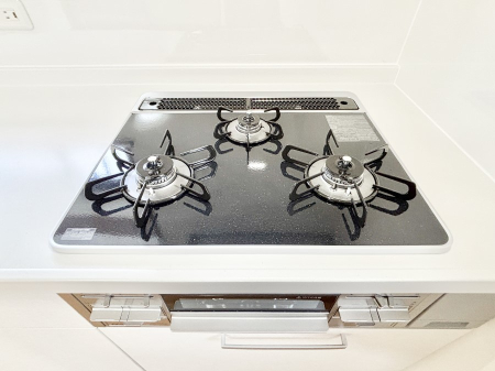 ���̑����� �O���K�X�R�����ł���������C�ɂ͂��ǂ肻��  