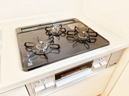 ���̑����� �O���K�X�R�����ł���������C�ɂ͂��ǂ肻���B  