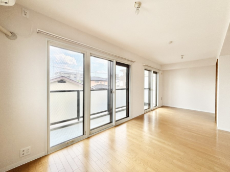 rO 傫ȑ炽Ղ̗zƕ郊rO    